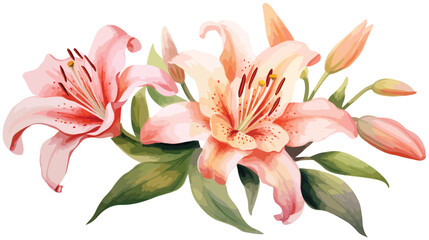 Obraz na płótnie Canvas Watercolor Lily Flat vector isolated on white background