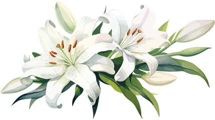 Fototapeta na wymiar White Lily Watercolor Flower Flat vector 