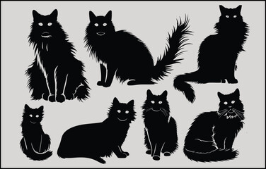 black and white cats