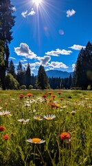 Field of flowers with trees and mountains in the background