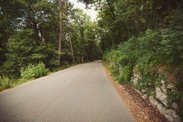 Obraz premium Composite landscape. fence near road going down the hill through meadow and forest to the high mountains in evening light. empty road.