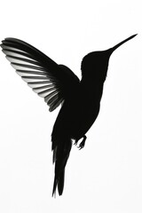 Obraz premium A stunning black and white image capturing a hummingbird in mid-flight. Perfect for nature and wildlife themes