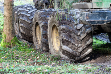 Fototapeta na wymiar Four massive Timberjack tires, deeply embedded in the forest floor, bear witness to the powerful movement of the forestry machine as it relentlessly carves its way through the woods.