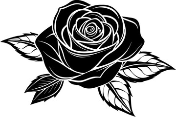 black rose  vector illustration 