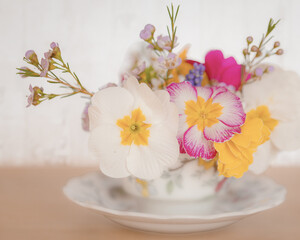 Fototapeta na wymiar Springflowers in a coffee cup with flowers on it