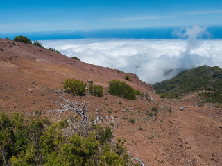 View from Pico Ruivo highest peak in the Madeira, Portugal. Green mountains, misty clouds and and atlantic ocean at Hiking trail PR1.2 from Achada do Teixeira to Pico Ruivo. - 766495066