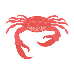 Vector cartoon Red crab. Cute and beautiful sea animals. Hand drawn red crab. Trendy flat vector illustration  isolated on white. 