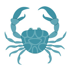 Vector cartoon blue crab. Cute and beautiful sea animals. Hand drawn flat style blue crab isolated on white. Trendy flat vector illustration