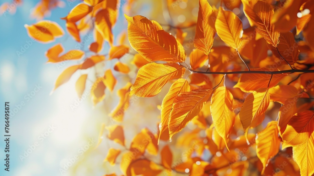 Poster close up of a leafy tree with a blue sky background. suitable for nature or environmental concepts