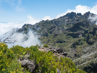 View over spartium yellow flowers and heather bush on green mountains in misty clouds. Hiking trail PR1.2 from Achada do Teixeira to Pico Ruivo, highest peak in the Madeira, Portugal - 766495832