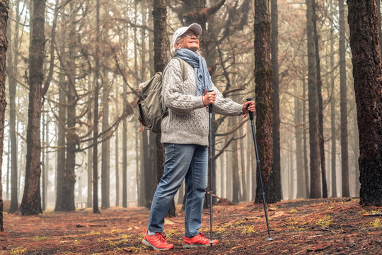 Smiling senior woman with backpack walking in mountain forest on a foggy day with the help of poles enjoying nature, freedom and free time. Forest background with bare trees