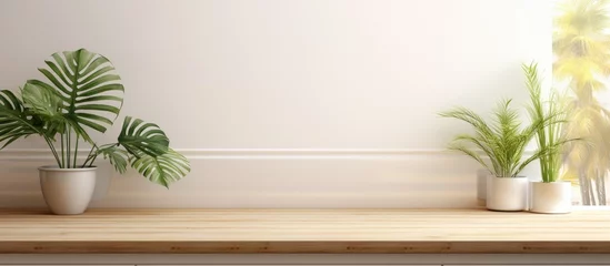 Foto op Canvas Two potted green plants displayed on a rustic wooden shelf in a cozy indoor setting © TheWaterMeloonProjec