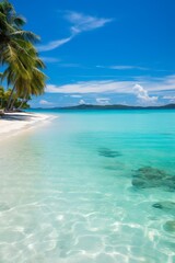 Fototapeta na wymiar Coconut trees on a beautiful tropical beach with white sand and crystal clear water