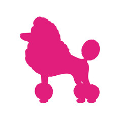 Poodle silhouette in pink color, cute dog - vector - 766498473