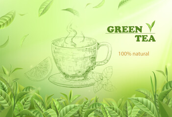 Green tea banner. Realistic leaves frame, falling leaf. Sketch style cup with herbal organic beverage and lemon. Advertising background or packaging design vector isolated illustration