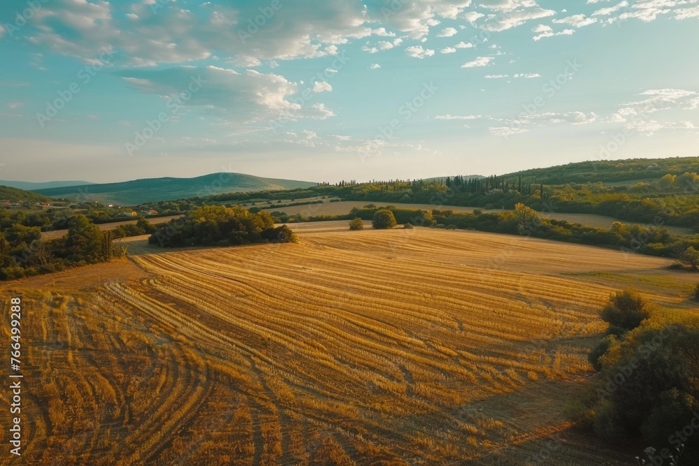 Poster aerial view of a field of crops, suitable for agricultural concepts