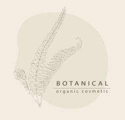 Botanical organic cosmetic. Fern leaves sketch. Wild nature. Forest herbs. Engraving branch. Shop invitation. Natural beauty product. Bracken frond line drawing. Vector card design