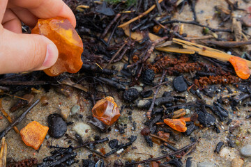Beautiful pieces of amber in your hand. A glowing wavy piece of amber on your palm. The sunstone.