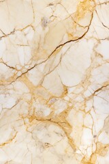 Elegant White And Gold Marble Texture