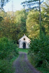Obraz premium Old Abandoned Abbey