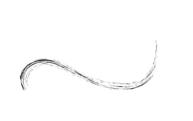 Underline text. Hand drawn collection of curly swishes, swashes, swoops. Calligraphy swirl. Highlight text elements.