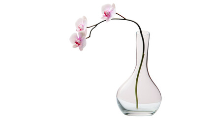 A beautifully arranged white vase filled with delicate pink flowers, exuding a sense of ethereal elegance and charm