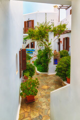Fototapeta na wymiar Beautiful patio in traditional Greek style, whitewashed walls and lush