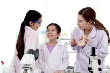 Two happy young student girls in lab coat study knowledge of teeth at school laboratory. Asian female teacher teaches schoolgirl children about oral cavity science. Kid learning science education.