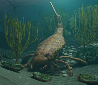 Eurypterus HuntingTrilobites