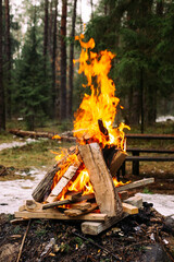 fire in the forest