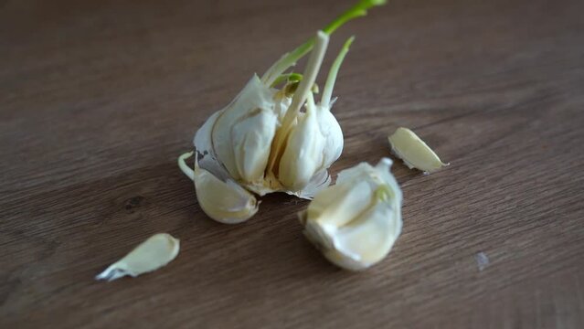 cooking, slicing garlic cloves on wooden cutting board