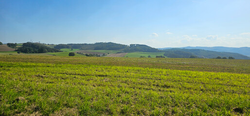 Fototapeta na wymiar beautiful landscape with green field and clouds on sky.