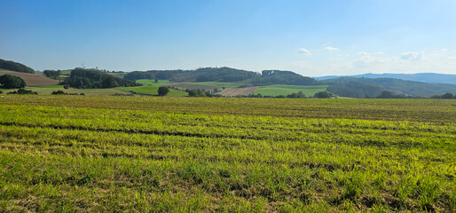 Fototapeta na wymiar beautiful landscape with green field and clouds on sky.