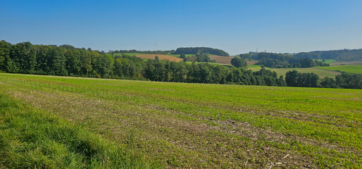 beautiful landscape with green field and clouds on sky.