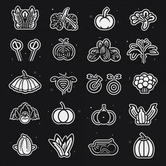 Vegetable icons set. Outline illustration of vegetable vector icons for web