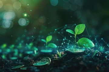 Foto op Canvas 3D render of money and investment concept. seed green plant growing on pile of coin on earth, banking, investment, money saving, business and finance concept © Pravit