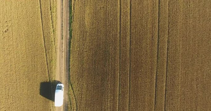Aerial view of white minibus driving along dirt road cutting through yellow farm fields