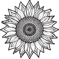Sunflower coloring pages. Sunflower outline vector