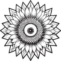 Sunflower coloring pages. Sunflower outline vector