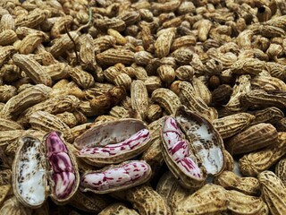 dried fruits and vegetables