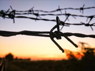 barbed wire against the sunset