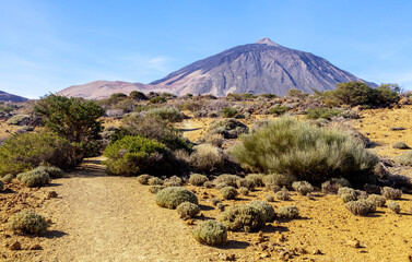 The volcano El Teide in Tenerife, Spain