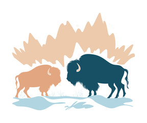  Bison, vector isolated against white background 