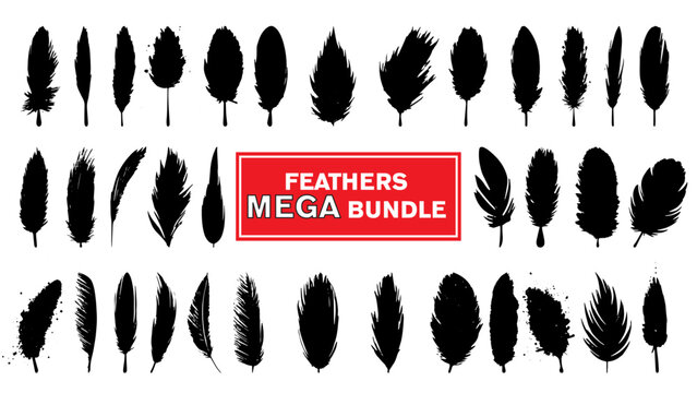 Feather Vector abstract bundle, Silhouette of bird feather collection, Feather icons set

