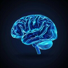 X-ray of human brain anatomy isolated on a dark background.
