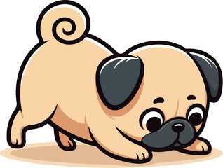 pug puppy sniffing the ground curiously