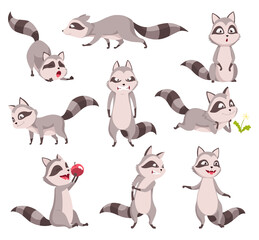 Raccoon character emotions. Funny wild coon in trash in different poses and cute mammal animal, cartoon  set. Characters emoji design isolated on white background