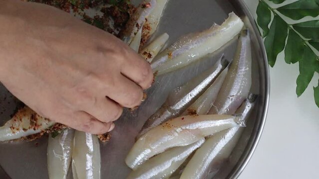 Marinating the Freshly cut and cleaned anchovy fish