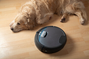 A robot vacuum cleaner and a dog.A modern vacuum cleaner for cleaning the house.