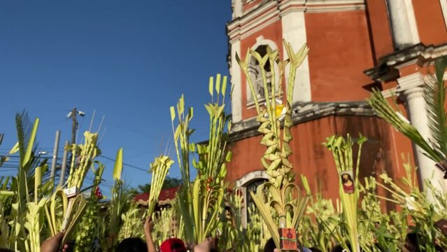 Catholics celebrate Palm Sunday before Easter by waving coconut palm leaves in commemoration of Jesus' triumphal entry into Jerusalem, with the church tower in the background.